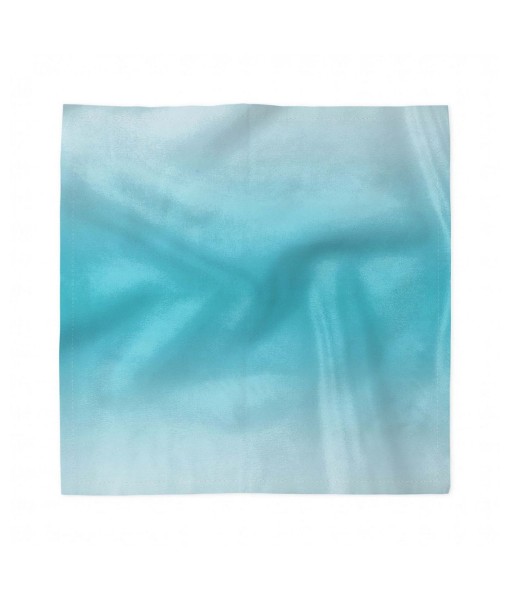 Ombre Set of 4 Napkins  18