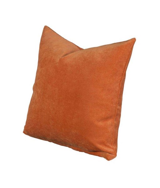 Padma Decorative Pillow  16