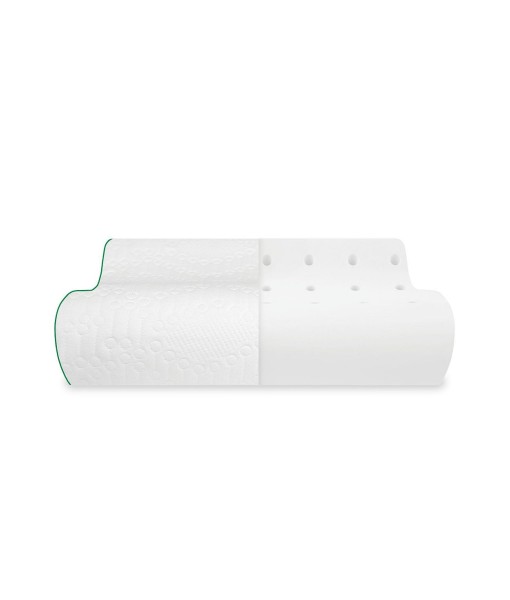 Fresh and Clean Classic Contour Memory Foam Pillow with Ultra-Fresh Treated Fabric  Standard