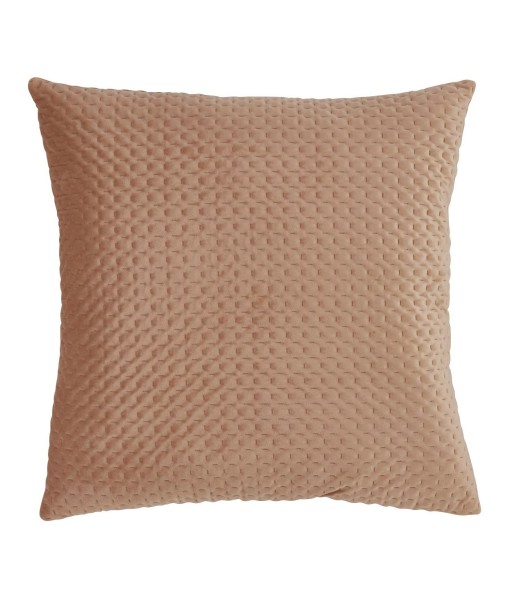 Pinsonic Velvet Decorative Pillow  18